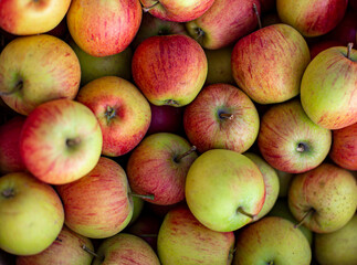 Äpfel