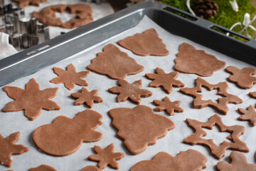 Dough rolled out and various shape cookies cut out with different cutters