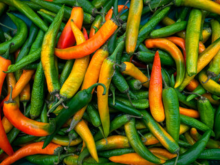 A background of a large number of large pods of hot green and yellow peppers. Background from vegetables on a shop window. Harvesting green and yellow peppers.