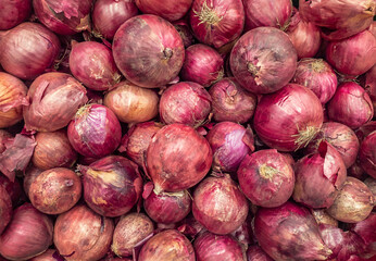 A background of a large number of medium-sized purple onion bulbs. Background from vegetables on a shop window. Harvesting purple onion bulbs.