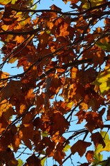 Santuário do Senhor Jesus da Piedade, Elvas
