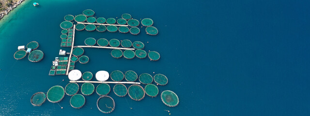 Aerial drone ultra wide photo of large fish farming unit of sea bass and sea bream in growing cages...