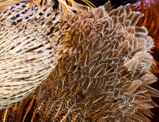 fly tying material on work bench