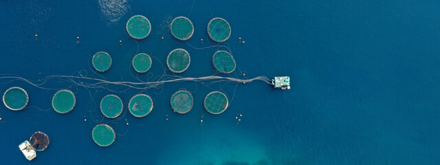 Aerial drone ultra wide panoramic photo of large fish farming unit of sea bass and sea bream in...
