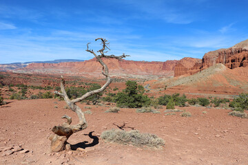beautiful landscape in Utah USA red sandstone formation