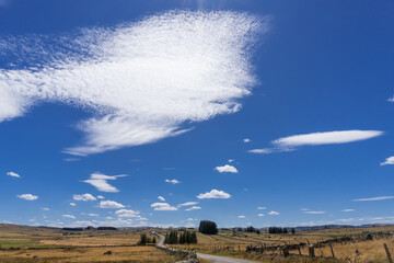 route qui serpente sous un nuage en forme de poisson