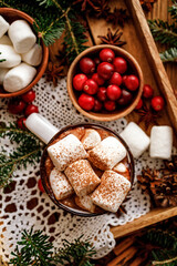 Fototapeta na wymiar Christmas hot chocolate with marshmallows sprinkled with cinnamon top view