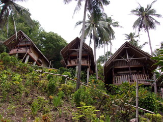 Cabanes jungle Asie hotel Philippines 