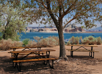 Shady Picnic Area Under A Tree At Wahweap Marina At Lake Powell Arizona On A Sunny Summer Day With A Clear Blue Sky And A Few Clouds