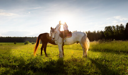 Lovers kiss while riding horses, walking on a sunny day