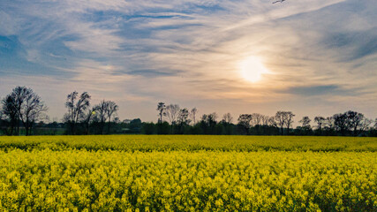 Obraz premium Photography