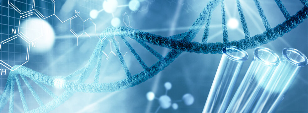 DNA  und genetischen Forschung