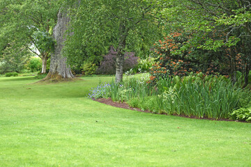 A beautiful garden with a perfect lawn and extensive boarders