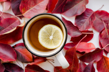 Cup of tea with lemon close-up on a background of red leaves.