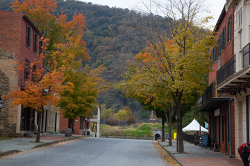 Fall trees and buildings