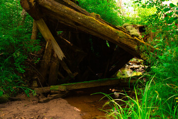 destroyed wooden structure on a stream in the forest