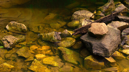 stones in the clear water of a forest stream close-up