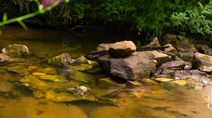 stones in the clear water of a forest stream close-up