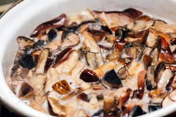 Cooking forest edible mushrooms. Boil chopped Imleria badia, Suillus, Leccinum in a saucepan.