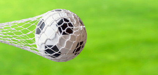 soccer ball ball on the grass