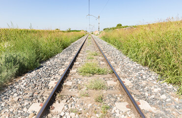 Fototapeta na wymiar railway in the countryside through green agricultural fields