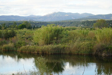 Obraz premium river in the mountains
