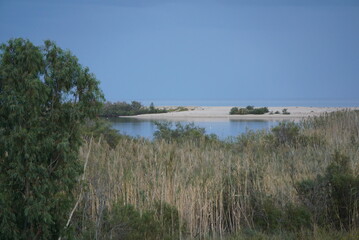 Fototapeta na wymiar view of the coast of the river