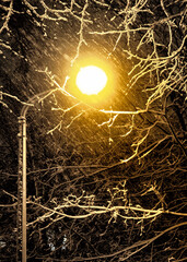 The light of the lantern illuminates a Blizzard, a snow storm. The street lamp shines through a...