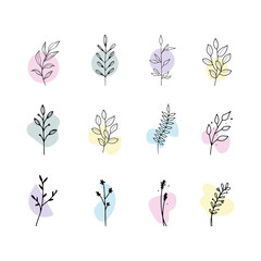Set of colorful botanical vector elements
