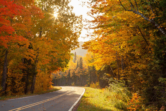 Bend in a road on the upper peninsula of Michigan with trees in fall color on a bright autumn afternoon