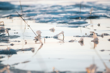 Kadr zimowa kompozycja woda pokryta lodem i śniegiem z przebijającymi spod niego trzcinami - obrazy, fototapety, plakaty