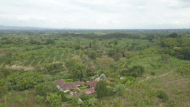 fincas cafeteras
