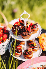 A picnic for children in nature, a table with muffins and cakes, homemade pizza, food for a family holiday