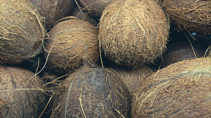 Texture background from of coconuts
