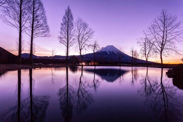 Morning atmosphere during the sunrise of Mount Fuji seen from Fumoto para camping Fujinomiya city Shizuoka prefecture in winter