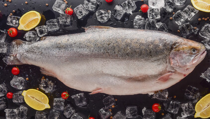 Salmon in ice with lemons on a black and wilted background, fresh headless fish