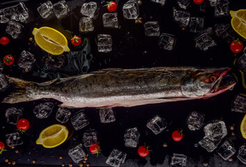 Salmon in ice with lemons on a black and wilted background, fresh headless fish