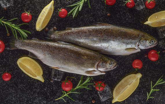 Salmon in ice with lemons on a black and wilted background, fresh headless fish