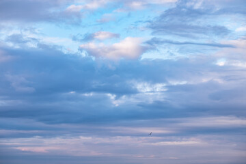 Clouds lit by the setting sun. Natural background from clouds