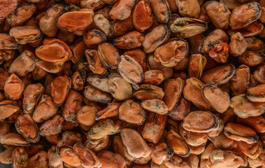 frozen mussels, in oil and marinade. Textures from delicious seafood