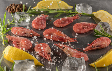 shrimps on a gray stone table with lemons, salt and herbs and ice cubes