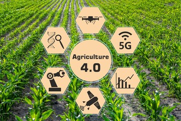 Smart agriculture 4.0 concept. Agricultural production. using renewable energy and digital technology