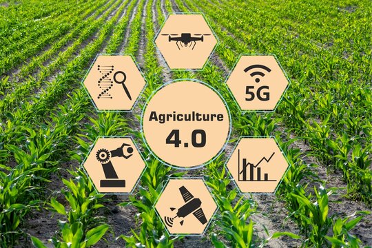 Smart agriculture 4.0 concept. Agricultural production. using renewable energy and digital technology