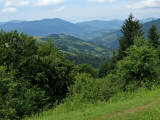 Fototapeta na wymiar Green bushes and trees near the mountain trail on a background of mountains