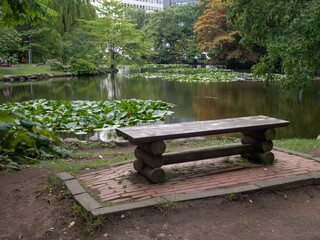 Banc devant un étang partiellement recouvert de nénuphars, dans le parc du Former Hokkaidō...