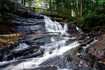Fototapeta premium Autumn landscape. Beautiful stream In the forest with autumn leaf colour and stones with moss.
