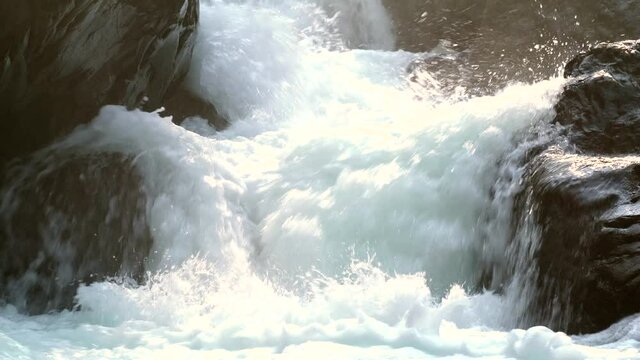 Locked down shot of Coho Salmon jumping up a waterfall to spawn