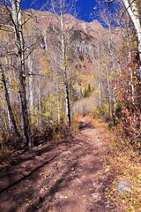 Red Pine Lake Trail mountain landscape scenic towards White Baldy and Pfeifferhorn hiking trail in Little Cottonwood Canyon, Wasatch Rocky mountain Range, Utah, United States.
