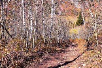 Red Pine Lake Trail mountain landscape scenic towards White Baldy and Pfeifferhorn hiking trail in Little Cottonwood Canyon, Wasatch Rocky mountain Range, Utah, United States.
