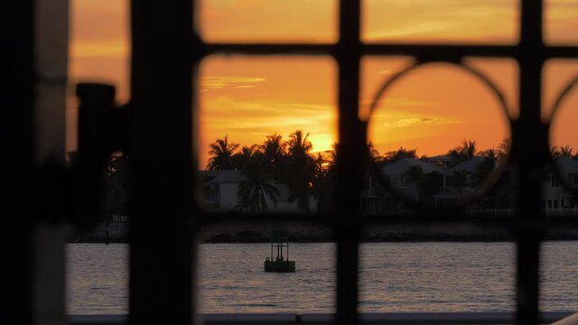 Sunset behind palm trees and through a fence filmed from Mallory Square in Key West Florida.